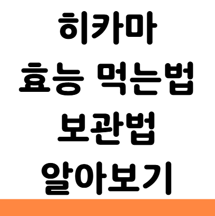  히카마 효능 먹는법 보관 부작용