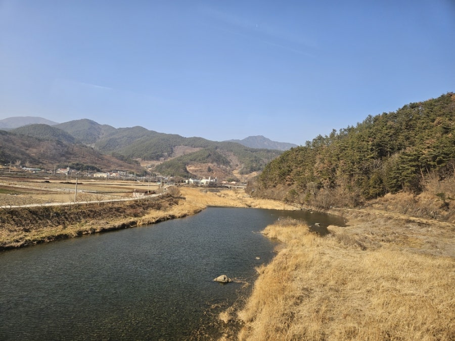 오수장어 안행점 사진 3