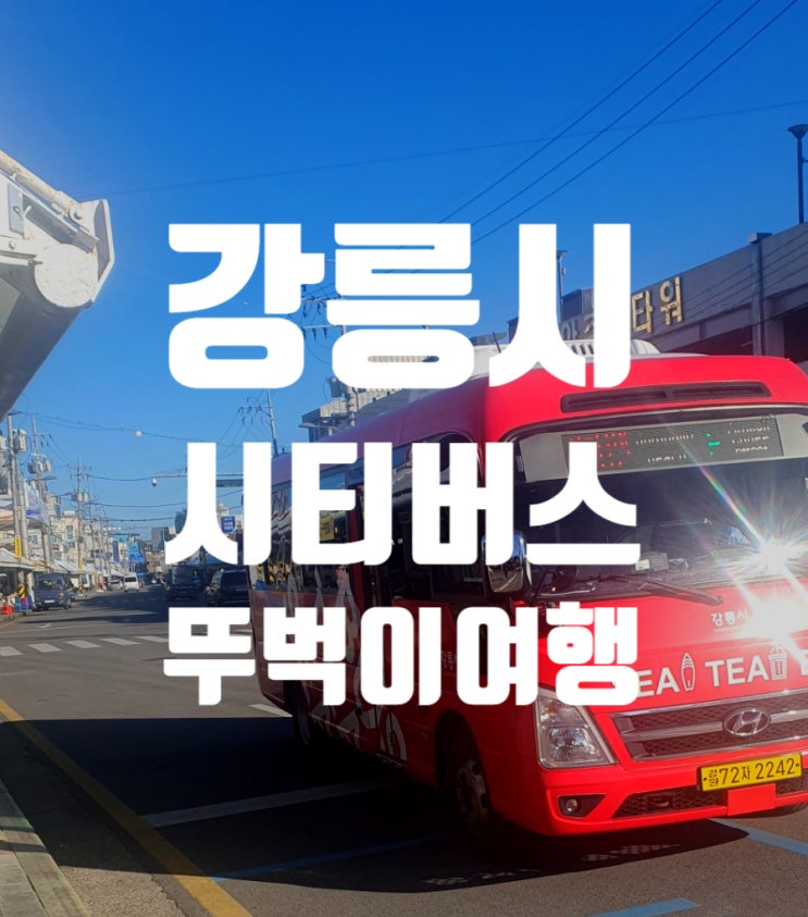  강릉시시티버스  안목항에서 주문진까지  시내버스 요금 하루관광
