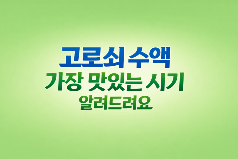 고로쇠 수액 가장 맛있는 시기 알려드려요