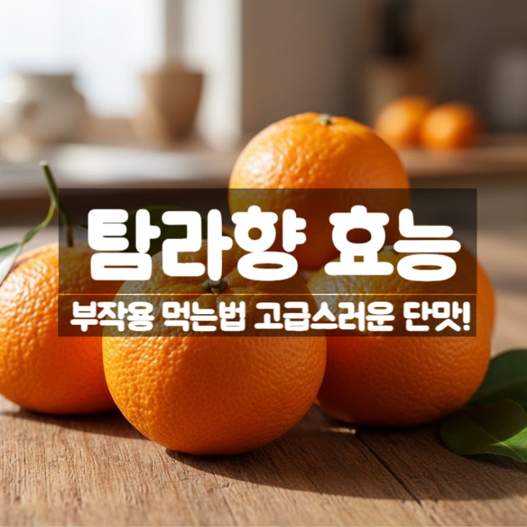  탐라향 효능 부작용 먹는법 – 제주 고급 만감류가 주목받는 이유