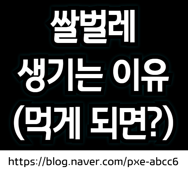 쌀벌레 생긴 쌀 처리법 (쌀벌레 없애는 법, 쌀벌레 생기는 이유, 쌀벌레 먹으면)