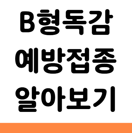  B형독감 예방접종 가격 시기 비용