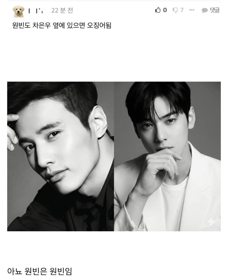 원빈도 차은우 옆에선 오징어가 될까?