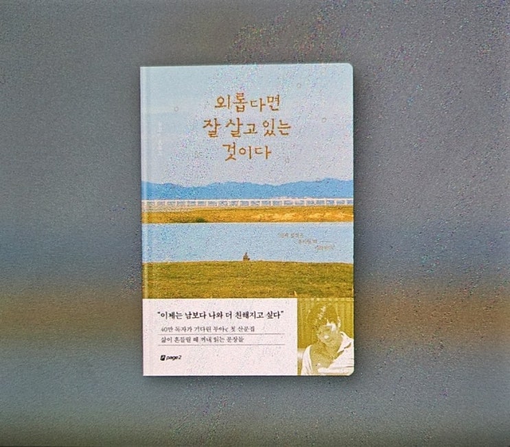  《외롭다면 잘 살고 있는 것이다》 부아c 서평 | 외로운 나에게 건네는 위로