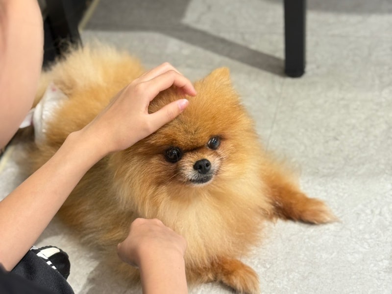 사진 11