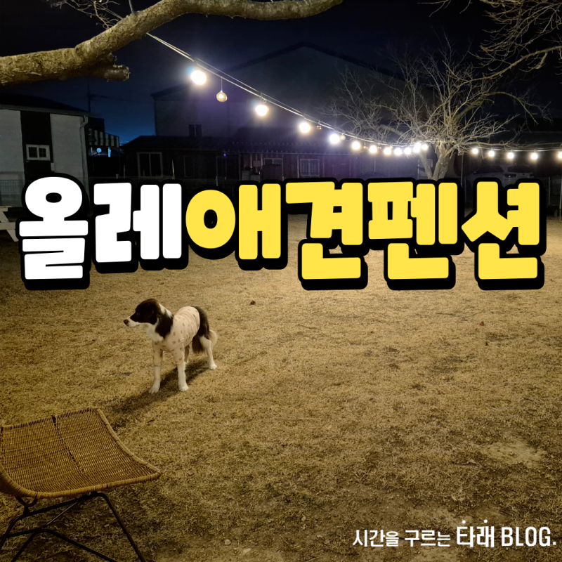 사진 8