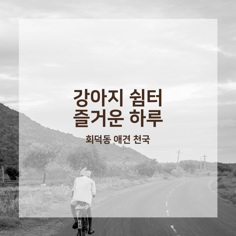 사진 2