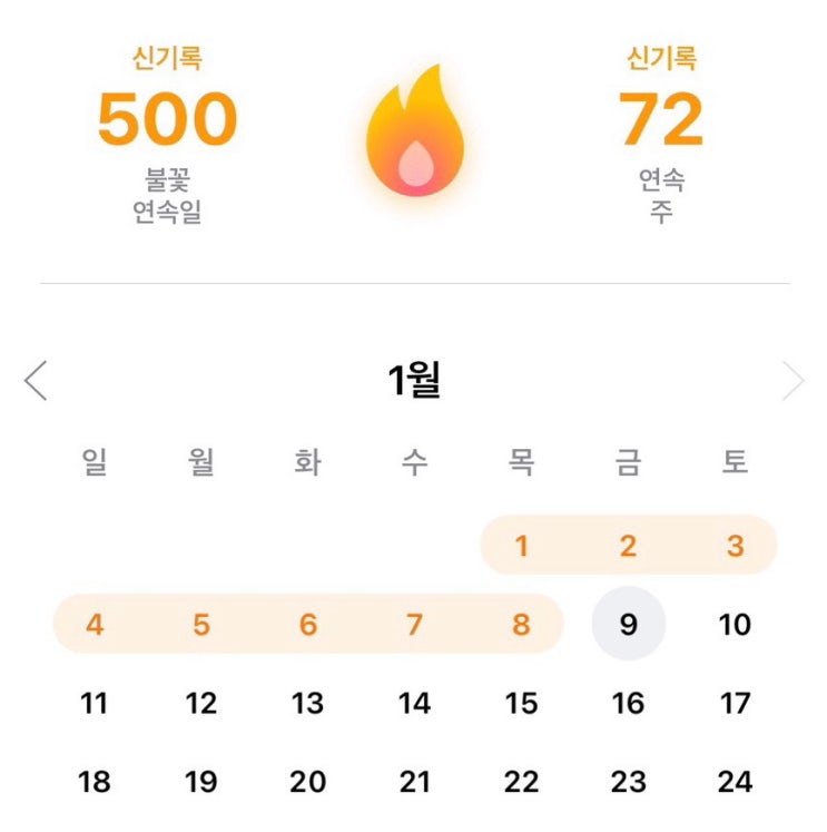  스픽 500일 내돈내산 사용 후기｜솔직 리뷰와 할인코드 정리