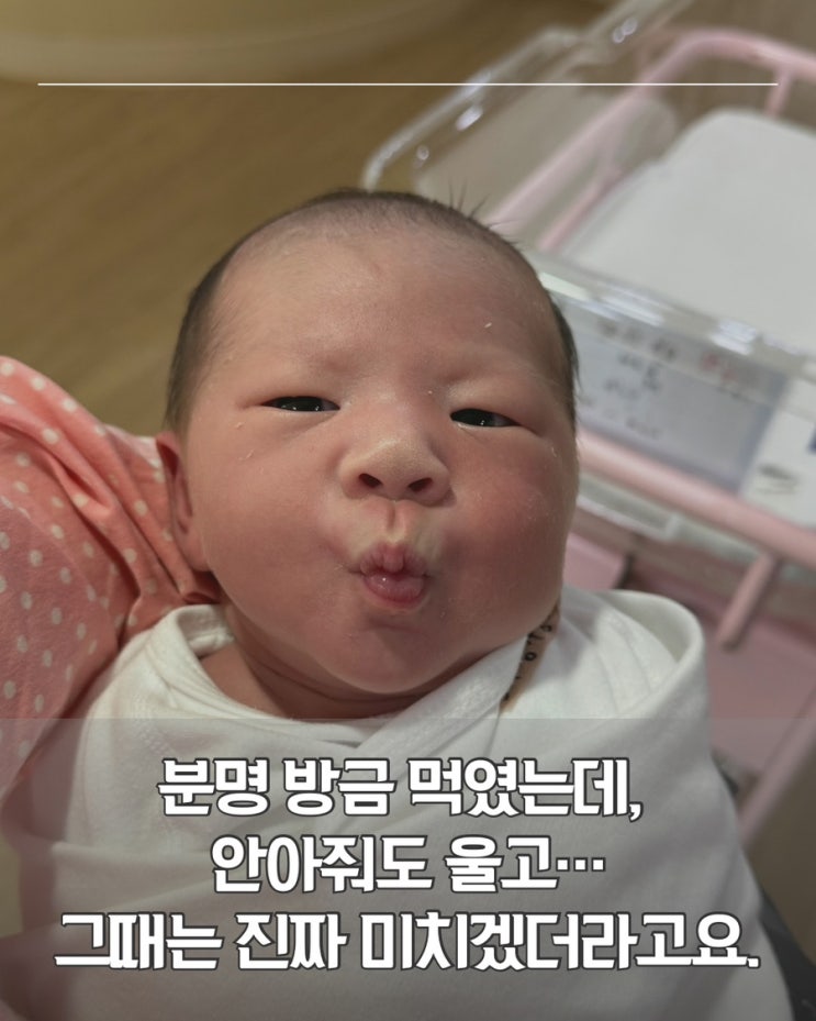  신생아 원더웍스 기간, 왜 매번 다를까? “예정일 기준”이 핵심이래요