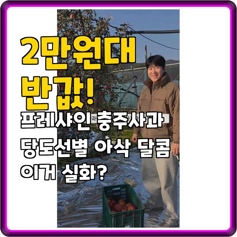 2만원대 반값! 프레샤인 충주사과 당도선별 아삭 달콤 이거 실화?