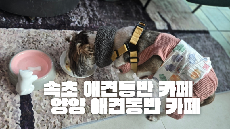 사진 2