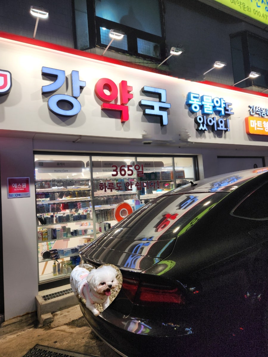 강약국 사진 1