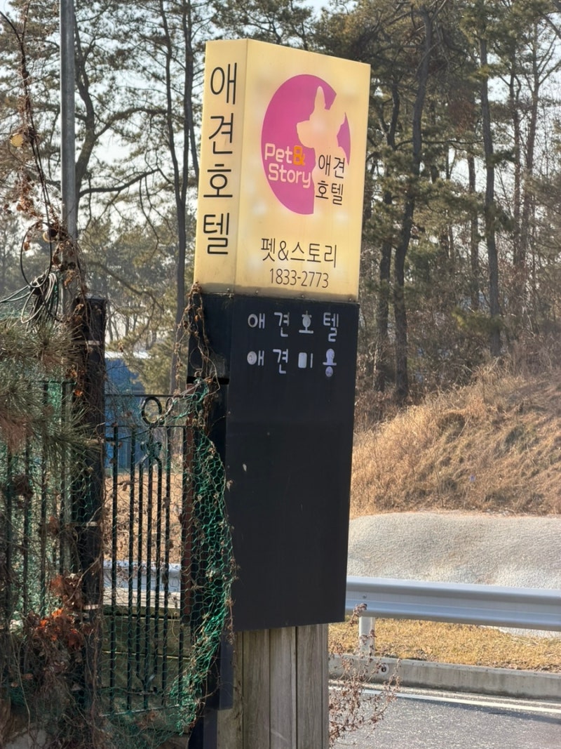 펫앤스토리