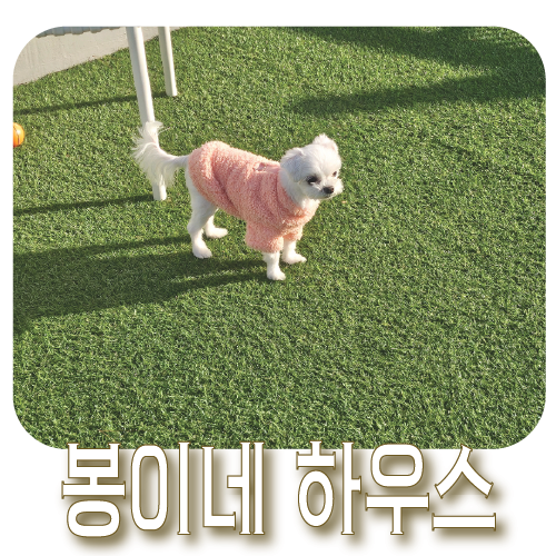 사진 5