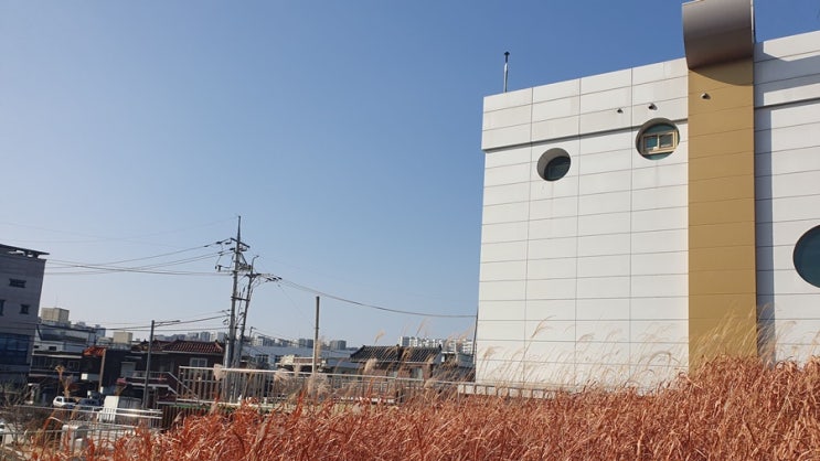  커피 하루 적정 섭취량 건강을 지키는 기준은