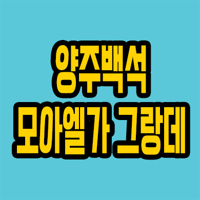  양주 미분양아파트 백석읍 복지리 모아엘가 그랑데 잔여세대 선착순