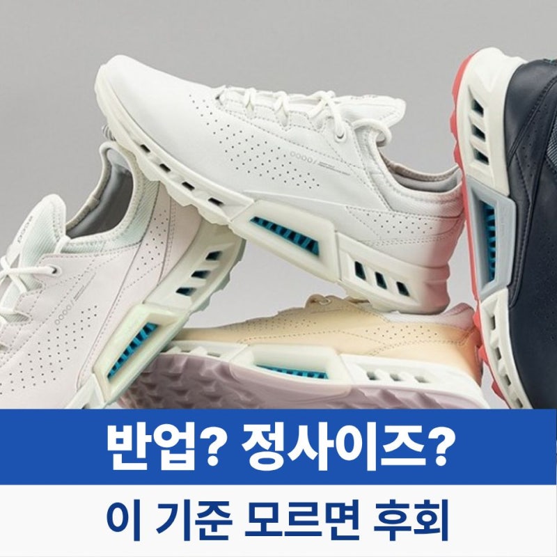 에코 골프화 사이즈 이렇게 고르면 실패 없다