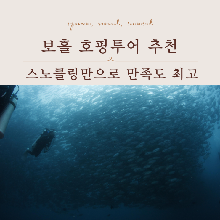  보홀 호핑투어 후기｜알로나 비치 출발, 하루가 꽉 찬 일정
