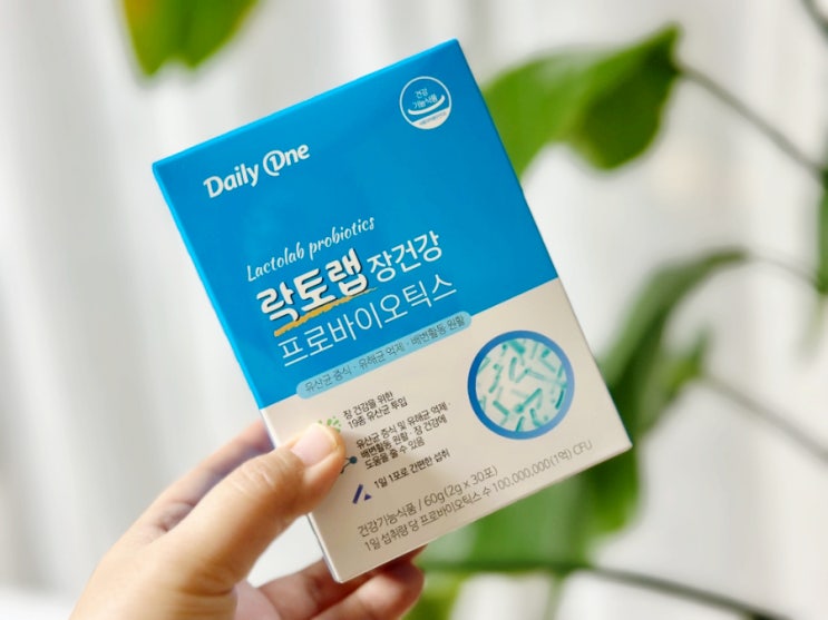  프리바이오틱스 신바이오틱스 유산균 데일리원 락토랩 장건강 프로바이오틱스 온가족 유산균 추천