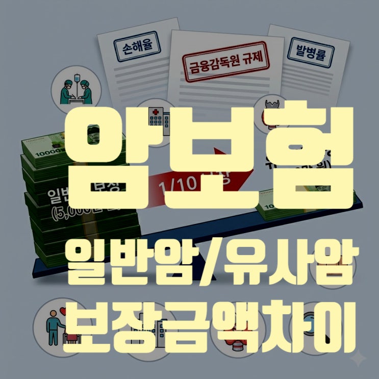  일반암 5천 vs 유사암 5백, 보장 금액 10배 차이의 충격적 진실 (2026년 최신 분석)