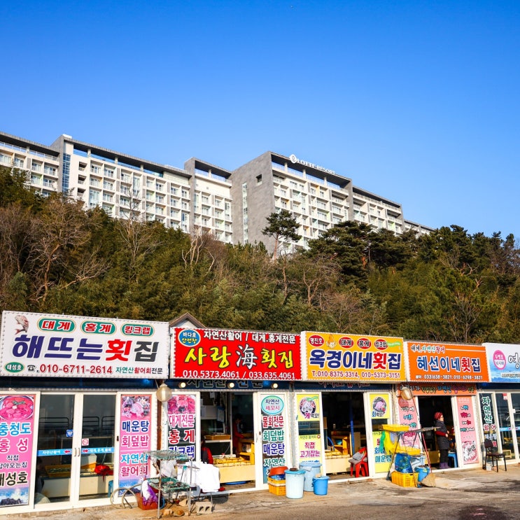  외옹치항 회센터 속초 롯데리조트 근처 횟집