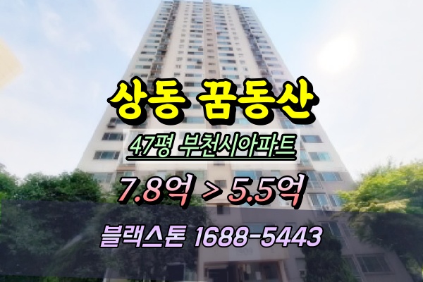  부천 상동 꿈동산신안아파트 경매 47평 1909동 고층