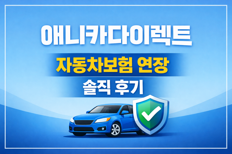  에니카 애니카다이렉트로 자동차보험 연장 솔직 후기 ( 스타렉스 )