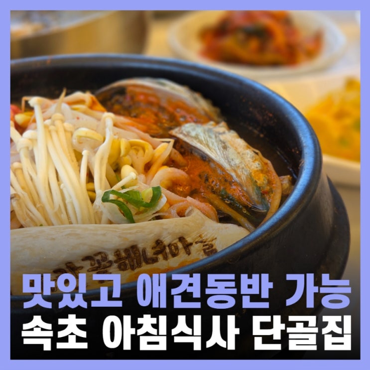  속초 아침식사 중앙시장 주변 애견동반 속초 물회 맛집