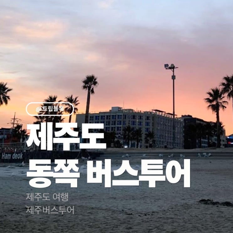  제주도 동쪽부근 코스투어 일정 가격 예약 일일투어