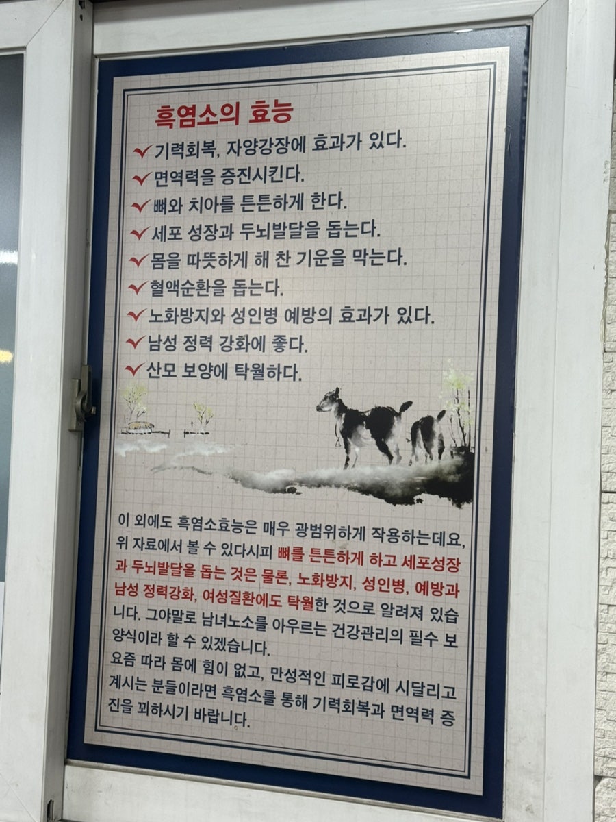 강일흑염소 사진 4