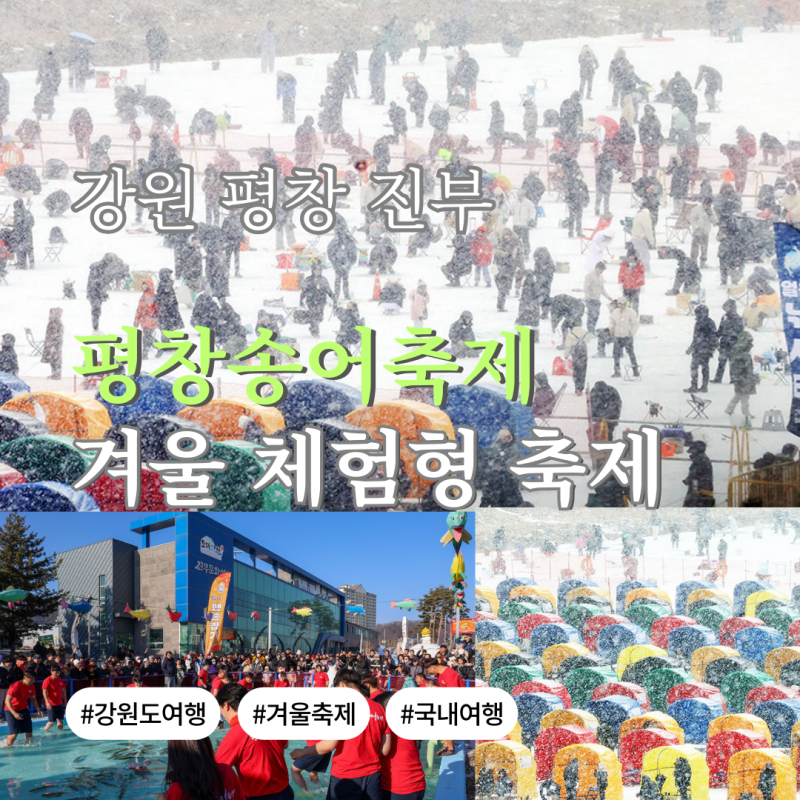 2026년 강원 평창 진부 가볼만한 곳 평창송어축제 겨울 체험형 축제