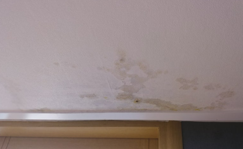 오래된 주택(30-40년된) 일상배상책임보험 가입(누수)