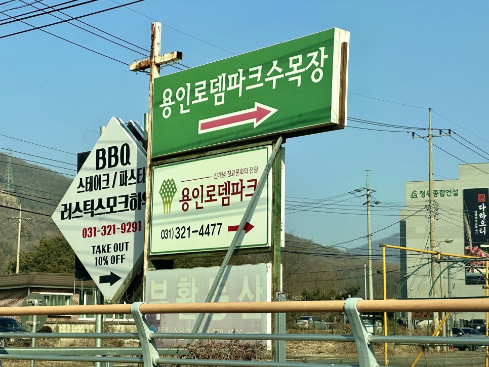 로뎀숲 사진 2