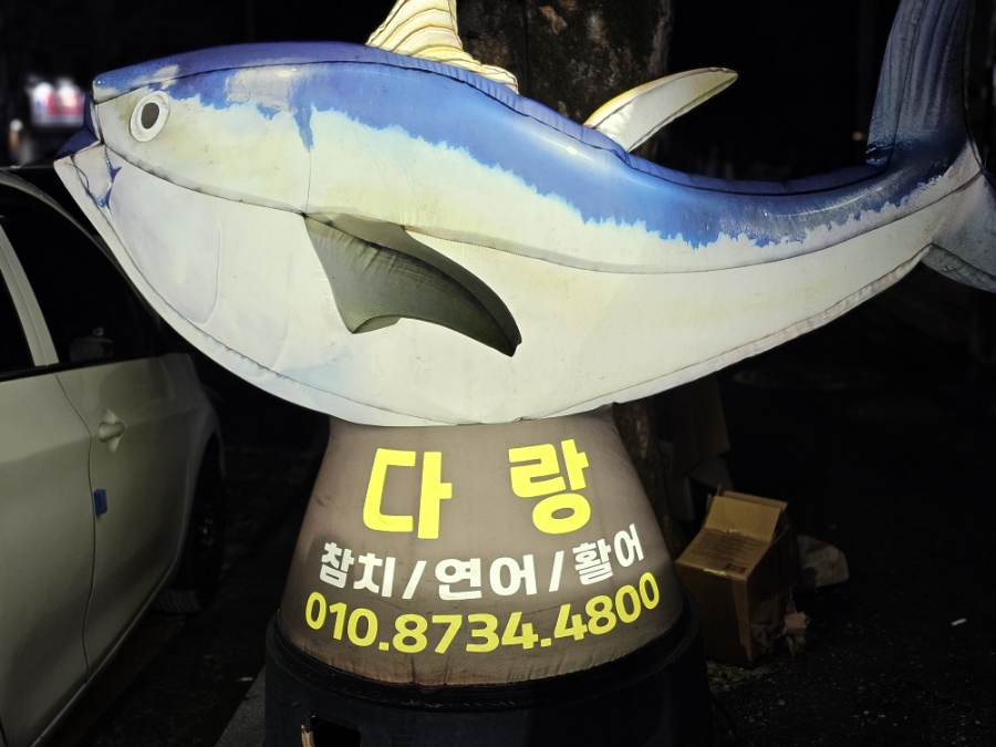 다랑 사진 1