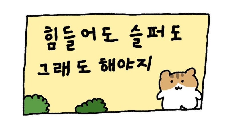 치과건강보험청구사 2급 필기, 실기 후기(SI평생교육원)
