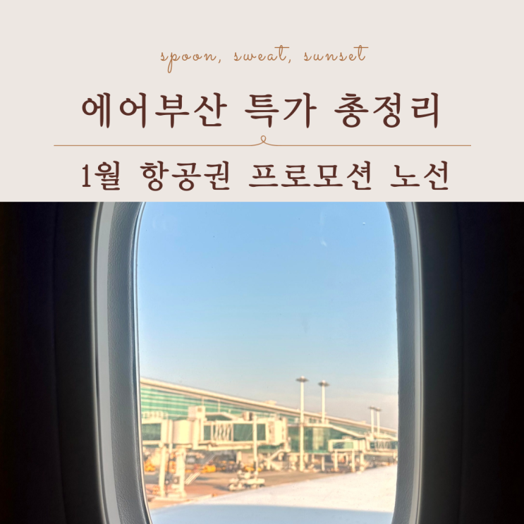  에어부산 특가 언제 뜨나? 1월 항공권 할인 일정 정리