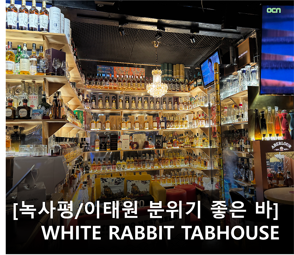 화이트래빗 사진 1