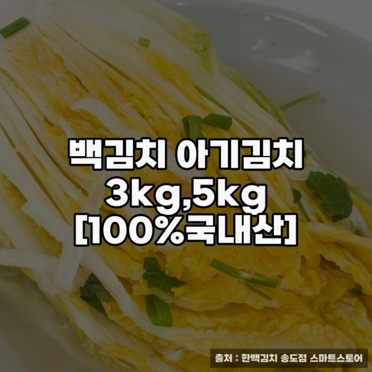  백김치 아기김치 3kg,5kg 추천 이유