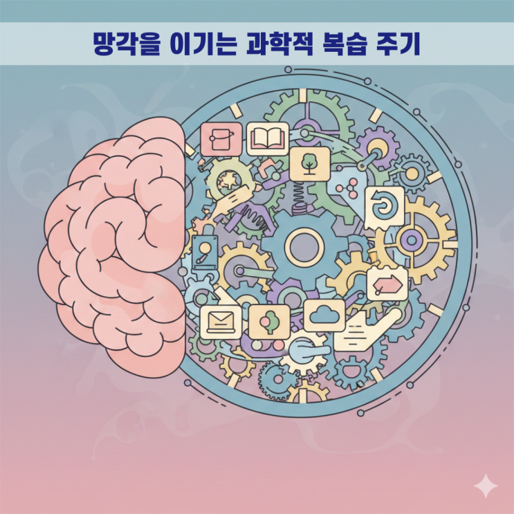 영어 단어 암기,망각 곡선을 활용한 효율적인 영어 단어 암기 주기와 복습 가이드
