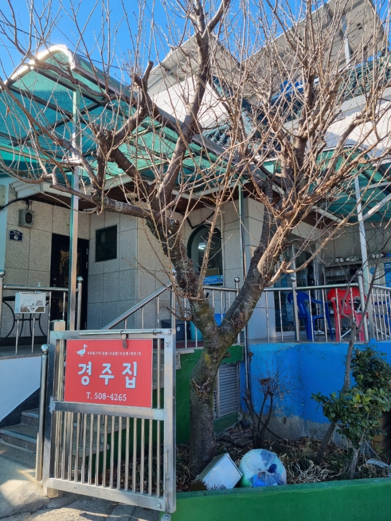 경주집