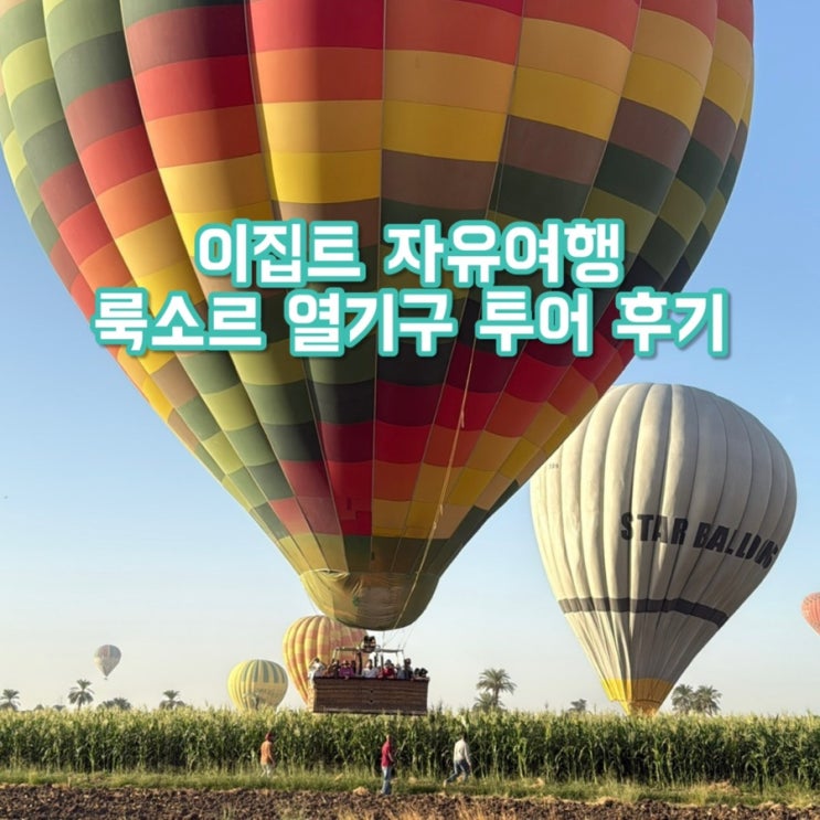  룩소르 열기구 투어 솔직 후기 | 10월 성수기 $53 예약 (열기구 투어 시세 비교)