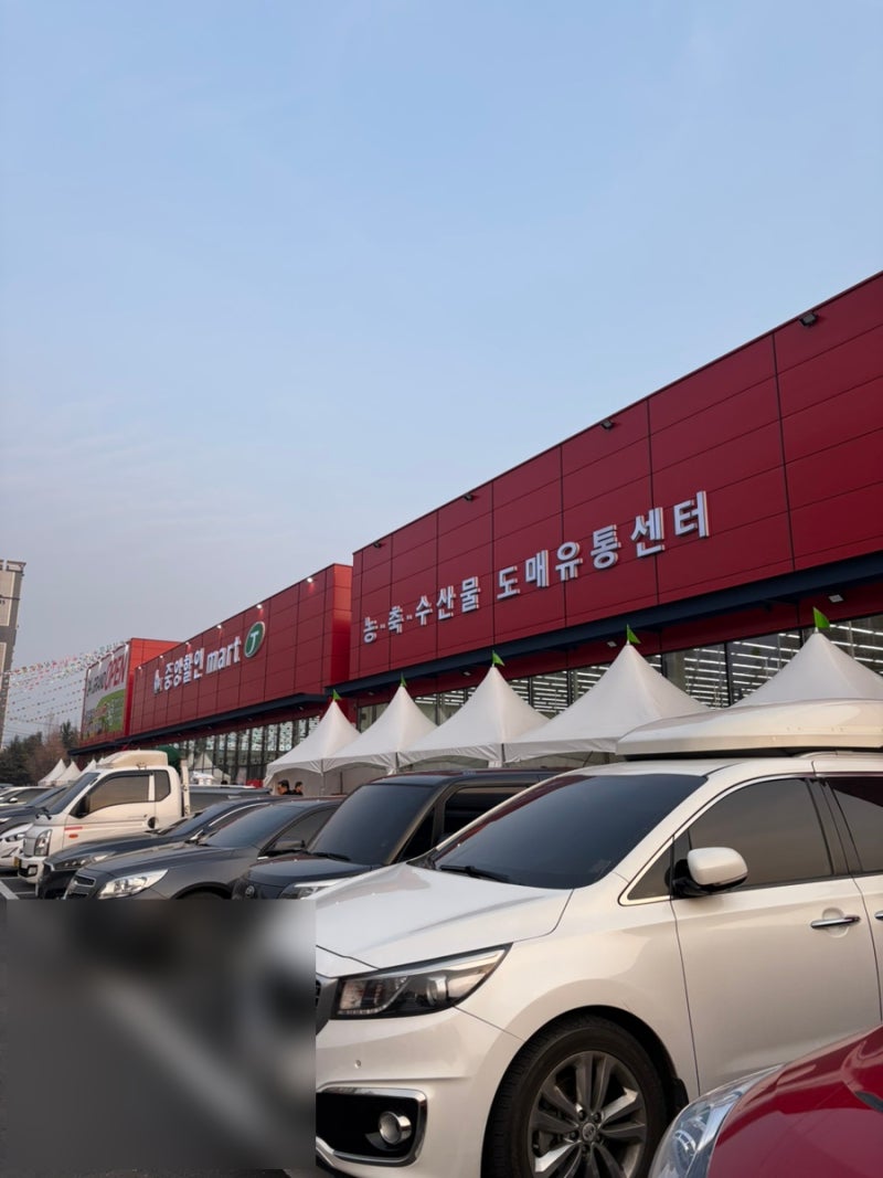 천안대형식자재마트 중앙할인마트 천안점 그랜드오픈 새해큰세일 방문 후기