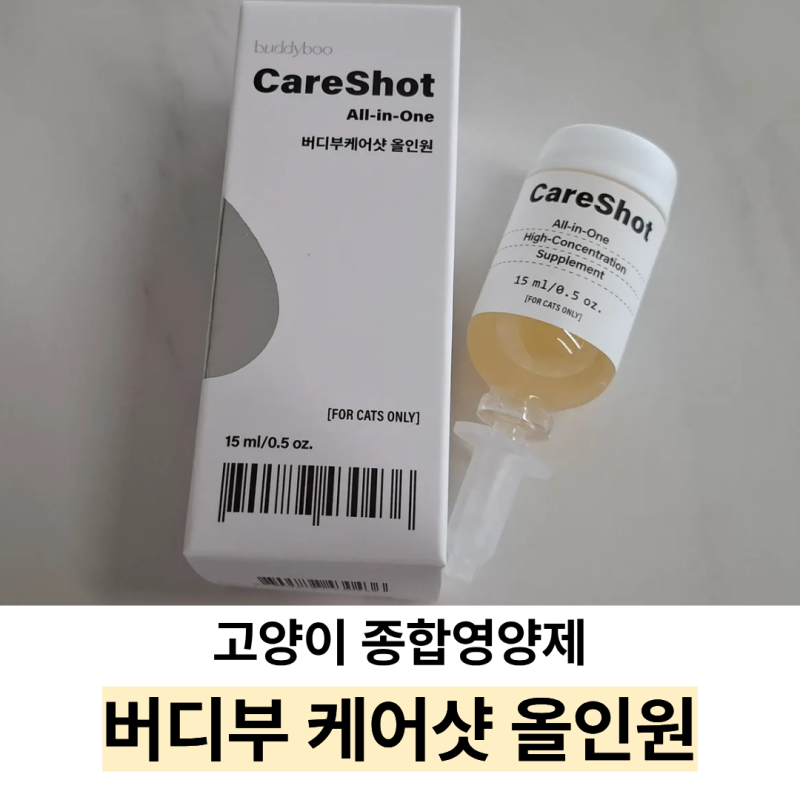 8살 고양이 종합영양제 버디부 케어샷 올인원 급여 후기