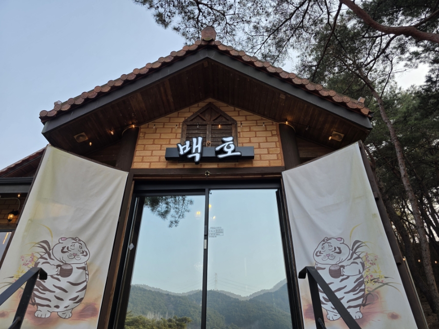 백호 사진 4