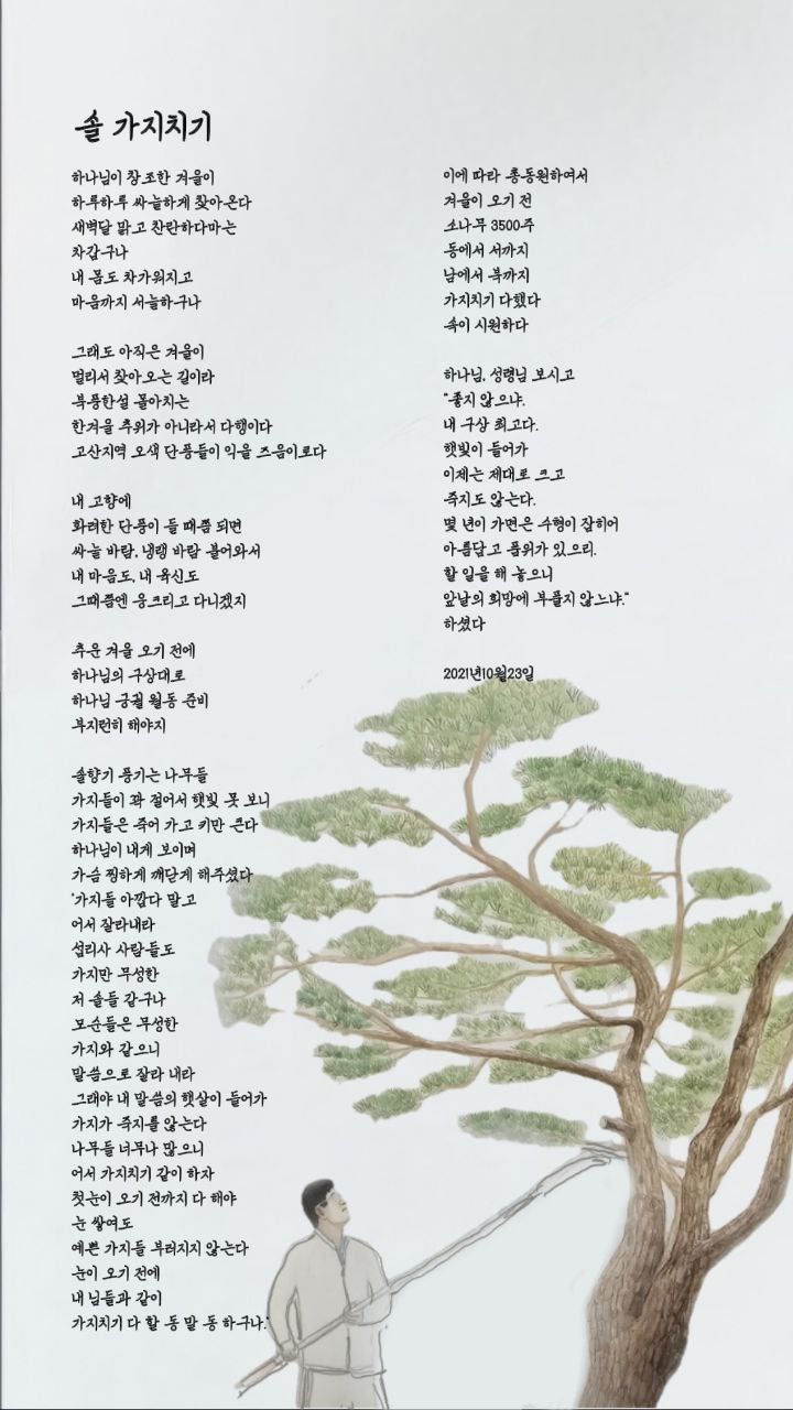  jms 정명석목사 영감의시 ㅡ 솔 가지치기
