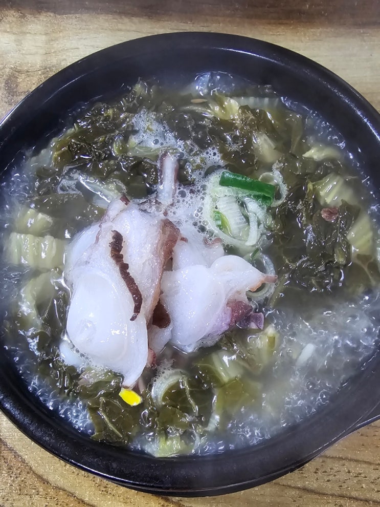  속초 맛집 속초문어국밥 문어 비빔국수 문어 계란말이 속초여행 조식 추천 동네한바퀴 속초관광수산시장 생생정보 생방송투데이