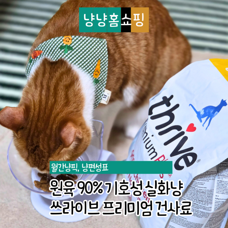  쓰라이브 건사료 치킨 솔직 후기, 원육 90% 기호성 실화냥