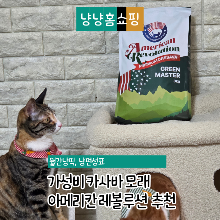  아메리칸 레볼루션 카사바 그린마스터 가성비 고양이 모래 추천