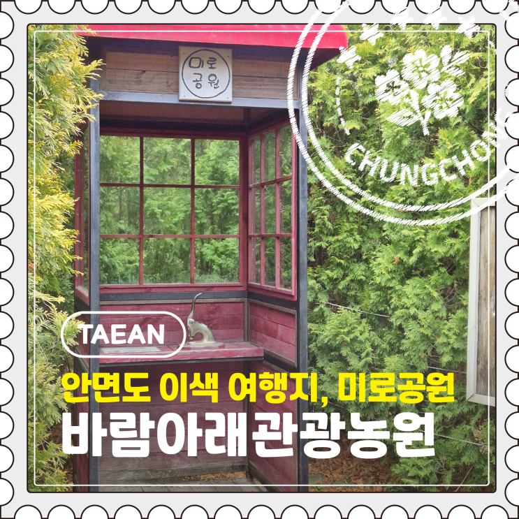  [태안] 안면도 어른, 아이 모두 즐길 수 있는 이색 여행지 미로공원 "바람아래관광농원"